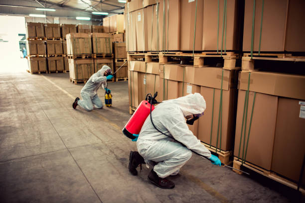 Best Emergency Pest Control  in Munford, TN
