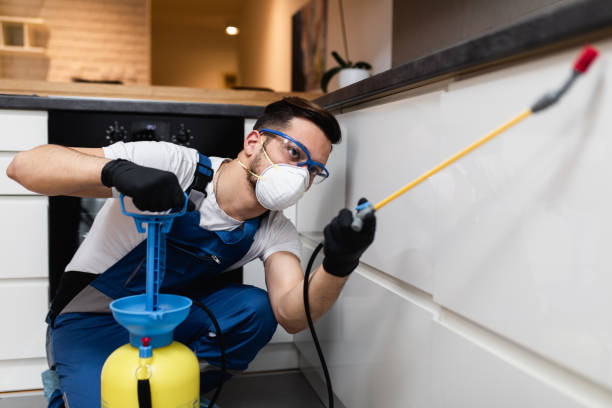 Professional Pest Control in Munford, TN