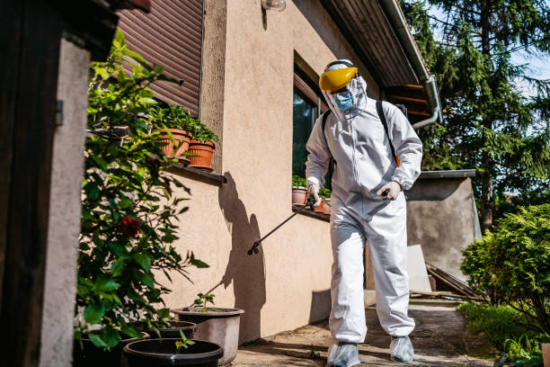 Bird Control in Munford, TN