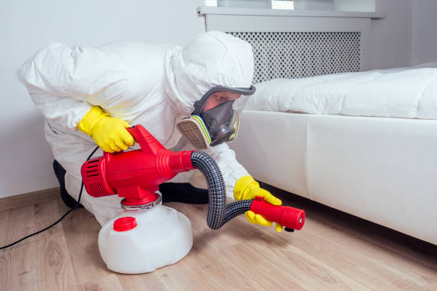 Reliable Munford, TN Pest Control Solutions