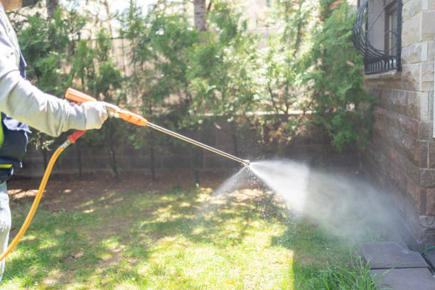 Best Wasp Removal Services  in Munford, TN