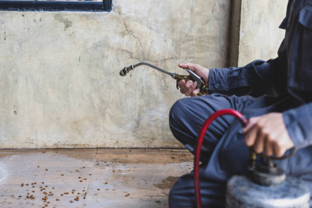 Best Pest Control for Businesses  in Munford, TN